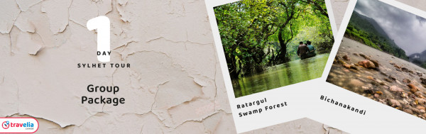 Sylhet 1 Day [Ratargul-Bichanakandhi] Group Tour Package